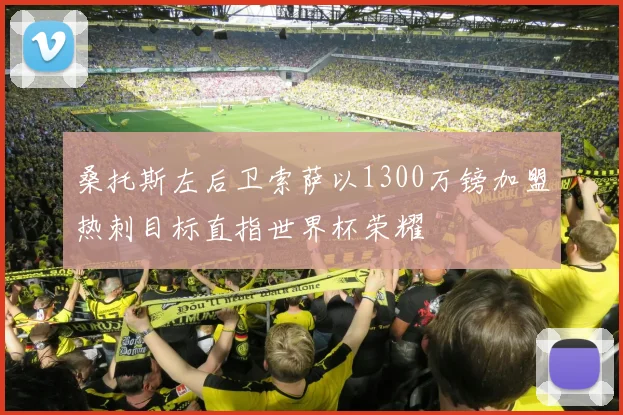 桑托斯左后卫索萨以1300万镑加盟热刺目标直指世界杯荣耀